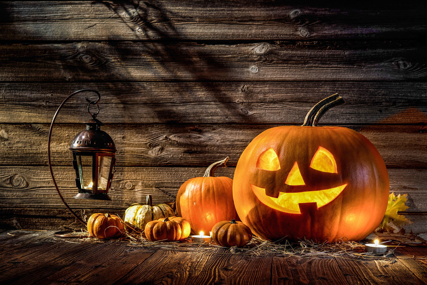 Halloween & Harvest Festivals  Local  hanfordsentinel.com