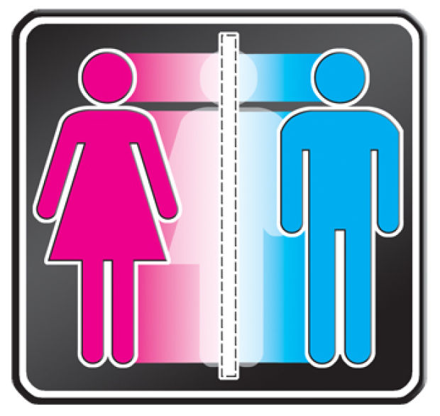 Transgender figures