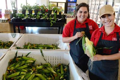 CSUF market: Corn sales start