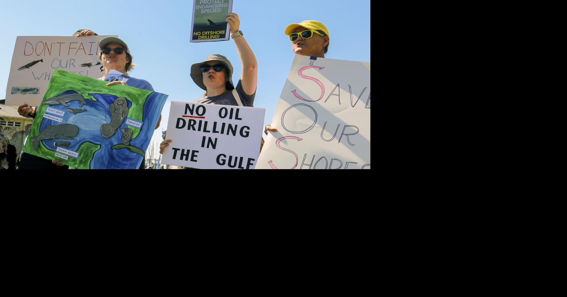 Politicians cited his research to discredit Gulf whale protections. He says that’s wrong