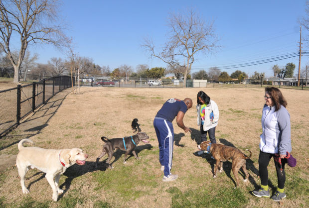 McAllen Dog Park