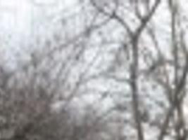 Riverdale Rodeo This Weekend Local Hanfordsentinel Com