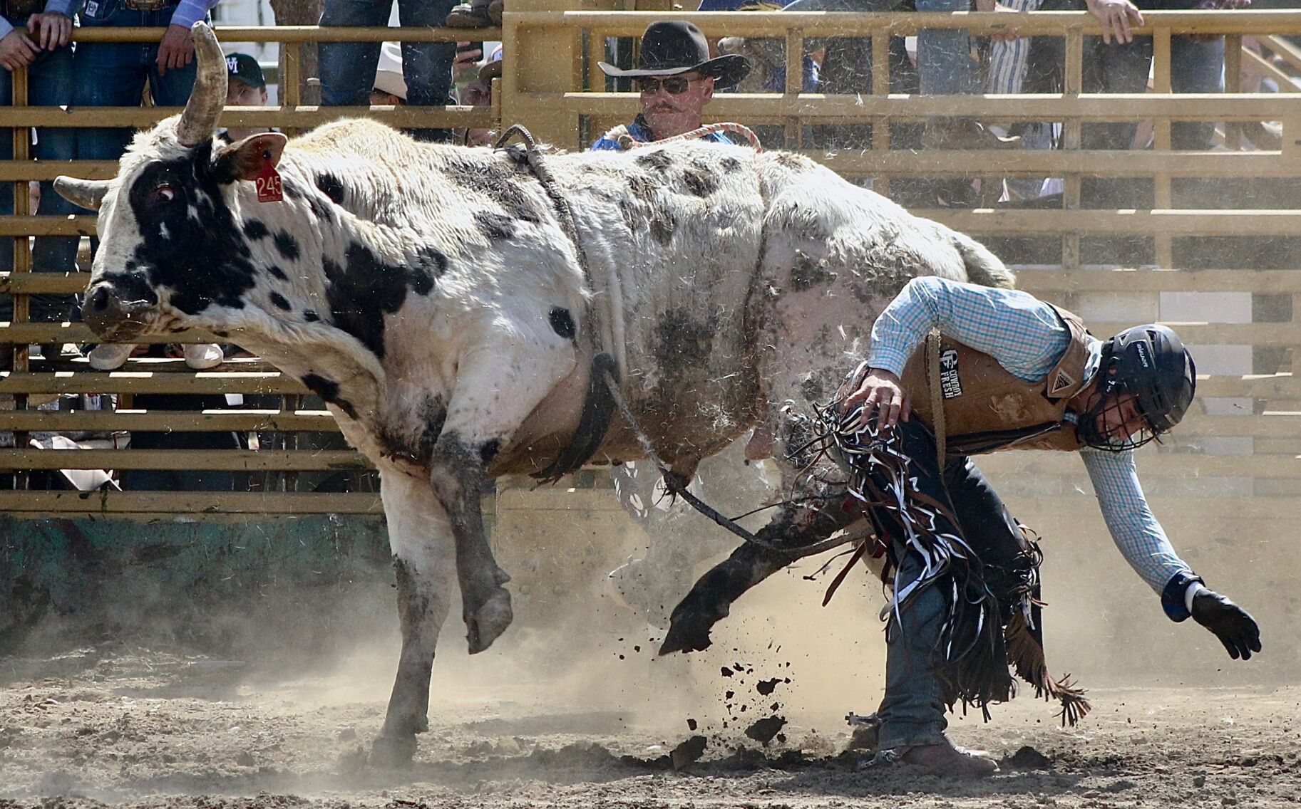 Laton hosts 62nd annual Lions Club Rodeo | Local News | Selma ...