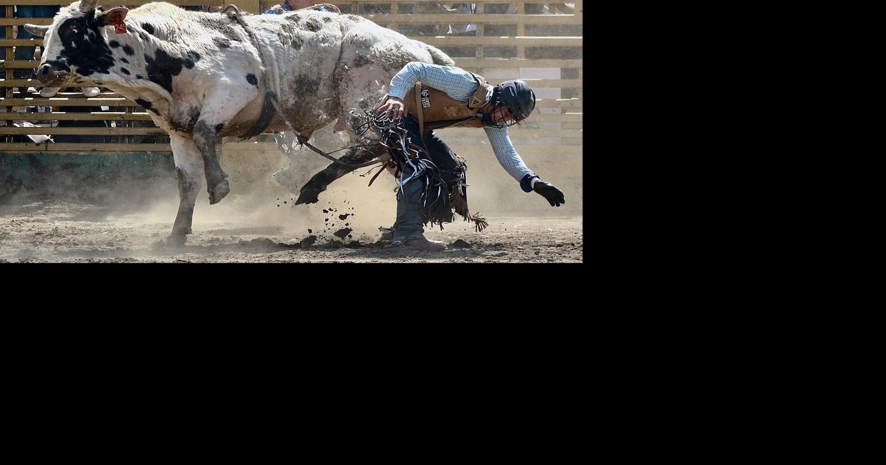 Laton hosts 62nd annual Lions Club Rodeo | Local News | Selma ...
