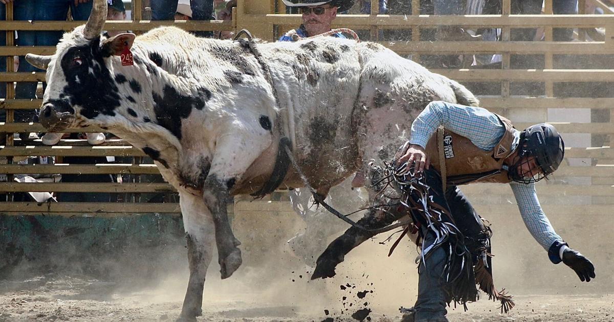 Gatton Rodeo Laton hosts 62nd annual Lions Club Rodeo | Local News | Selma ...