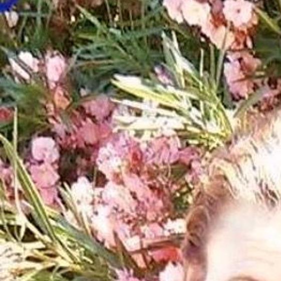 Sarah Jannett Dutra | Obituaries | hanfordsentinel.com