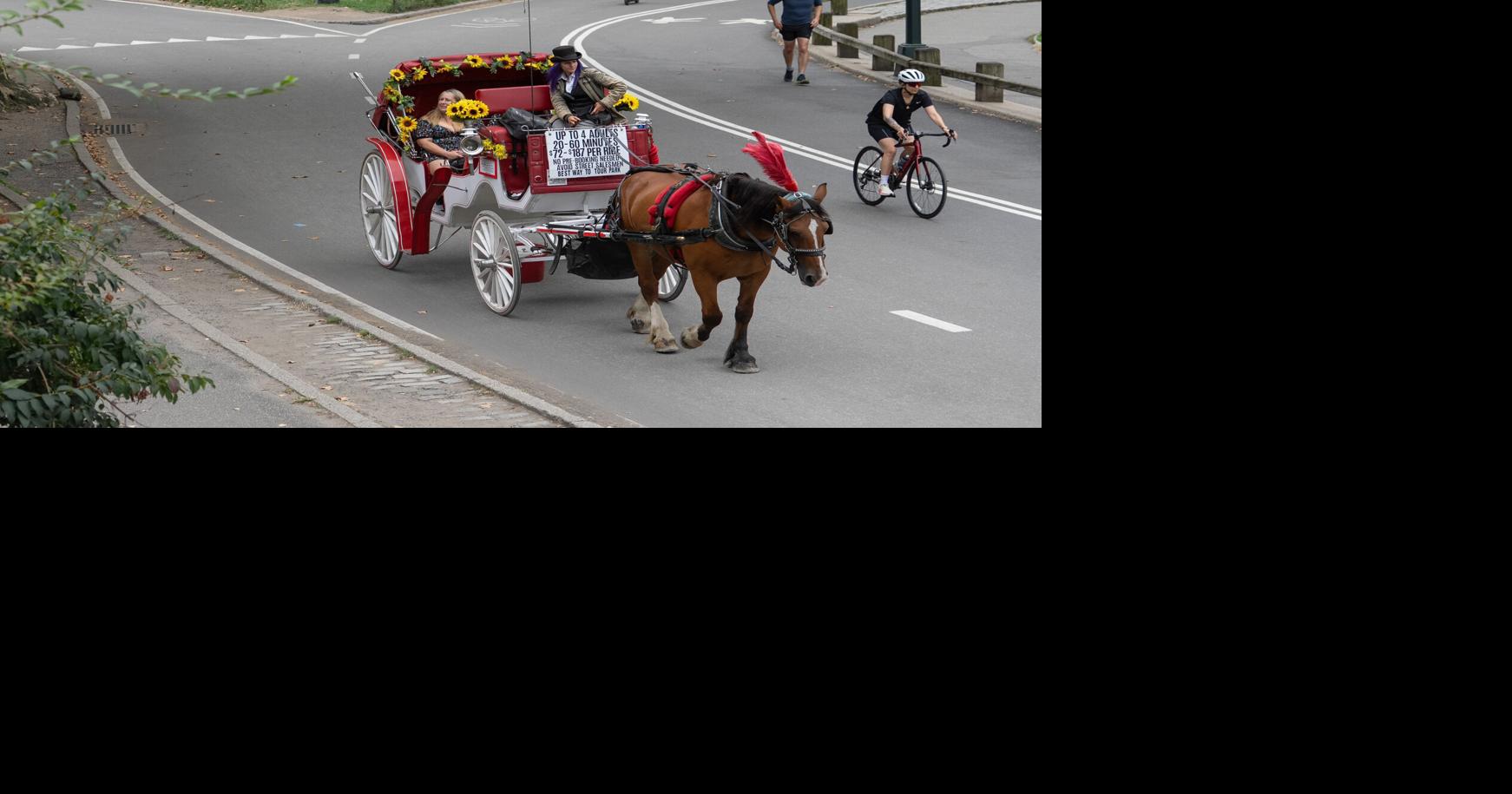 Teenager in critical condition after horse-drawn carriage overturns in NYC's Central Park