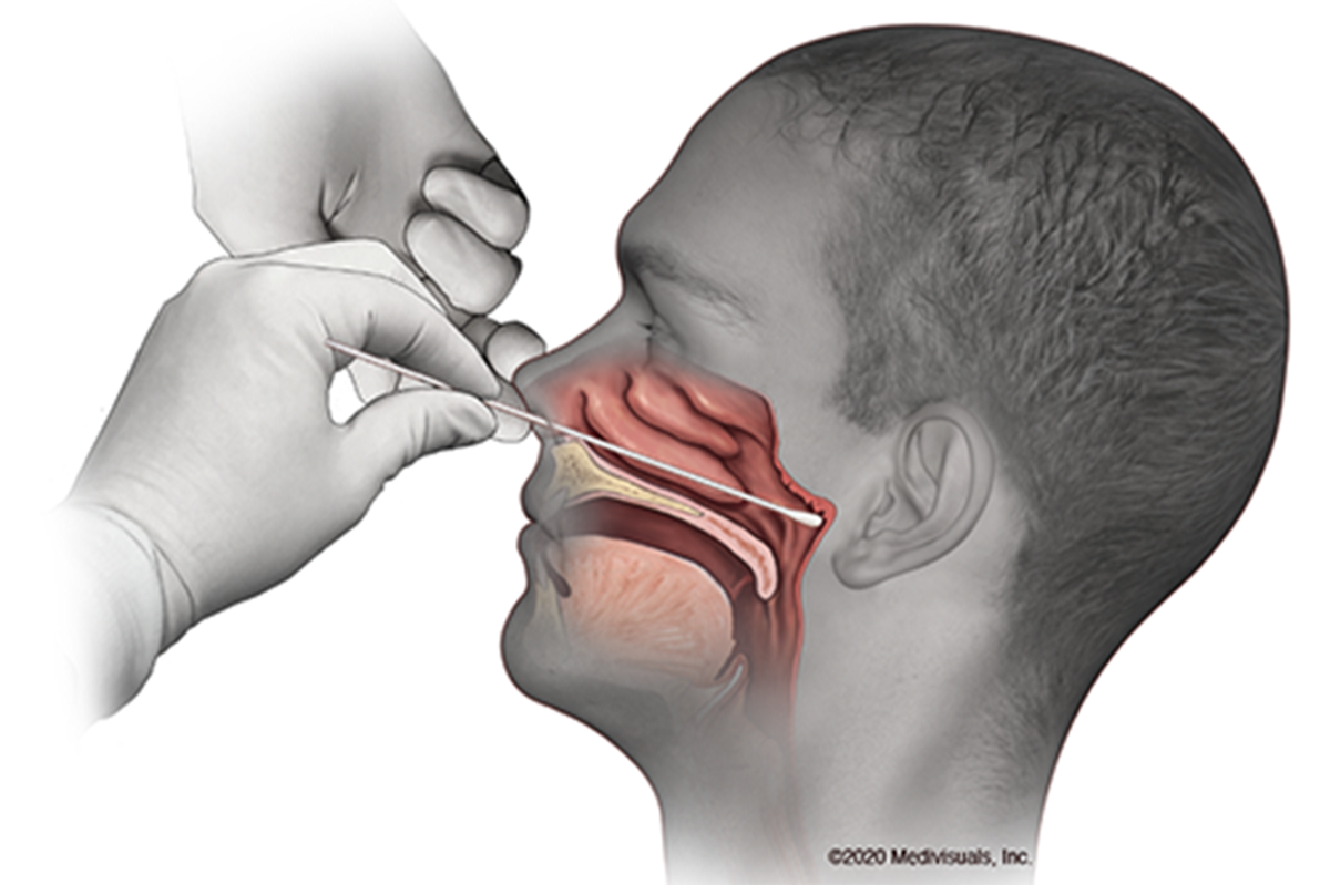 5eded44b6ab27.image.png?resize=1200%2C799