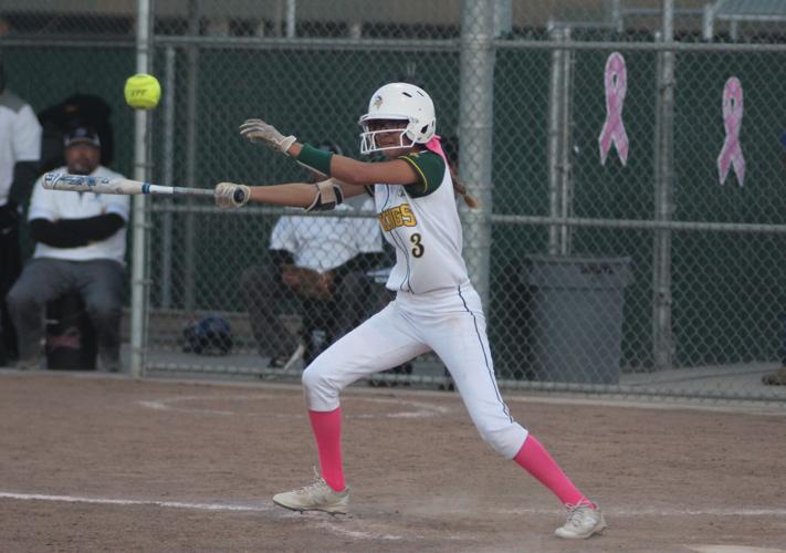 Fresno City County Softball All-Star Game