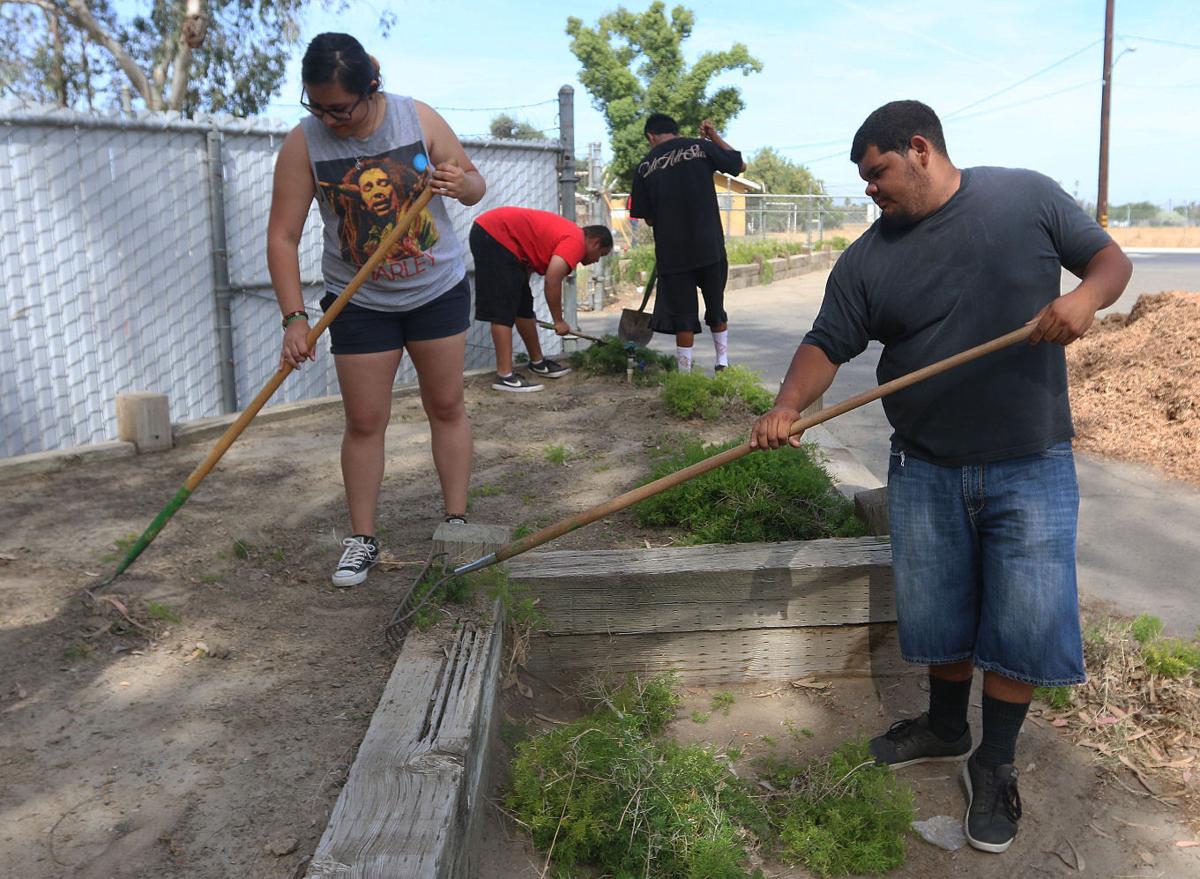 Kings Fair cleanup by volunteers