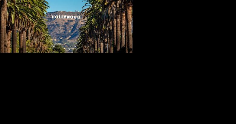 Does Hollywood hate its audience? | Filmaniacs - Vimarsana News
