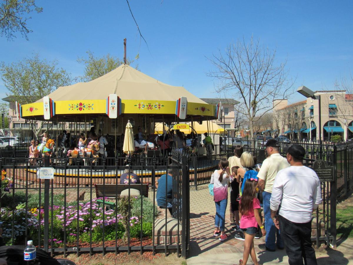 Ride to your heart's content Local