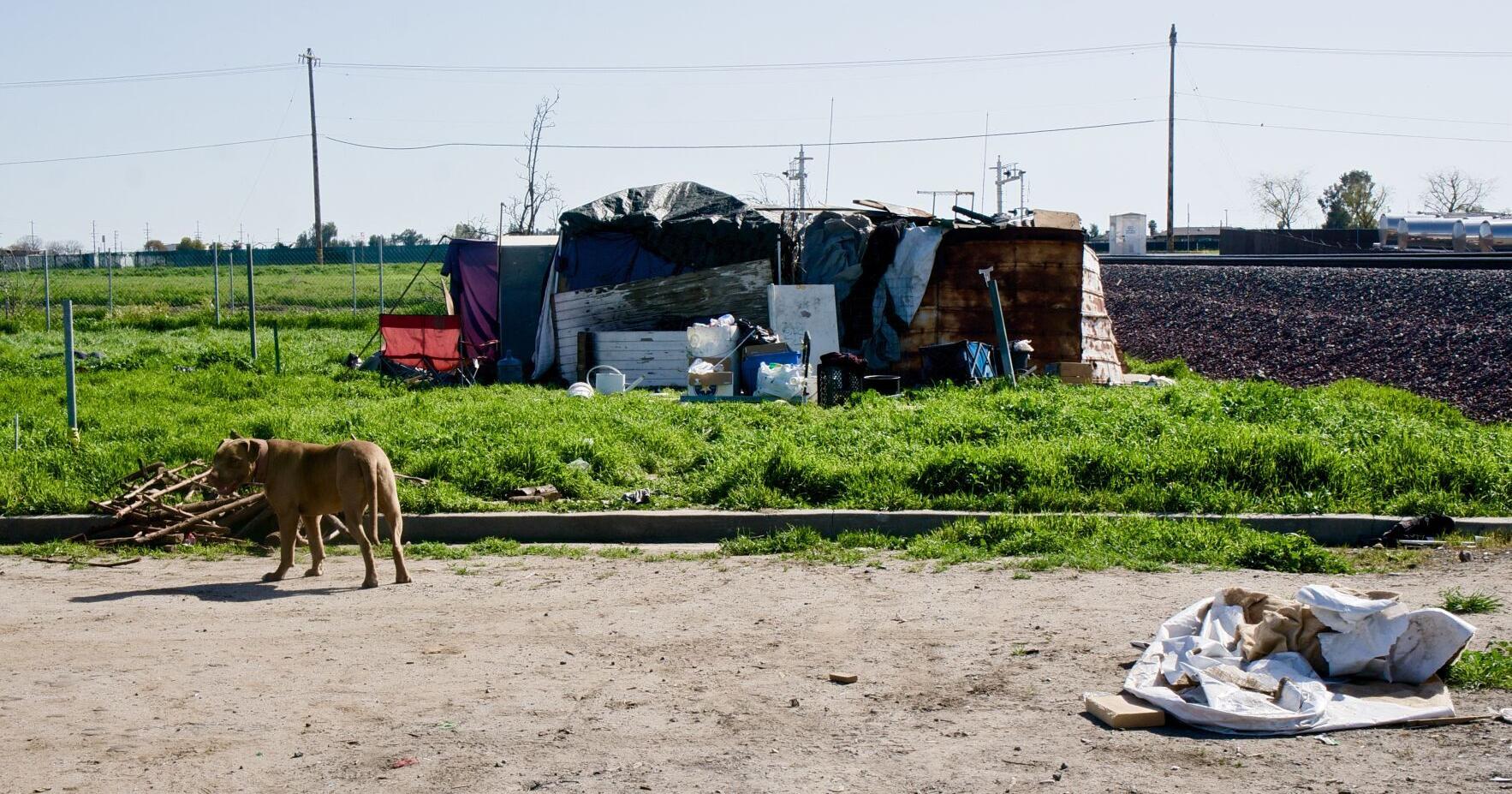 Neighbors want authorities to act on homeless encampment - Vimarsana News