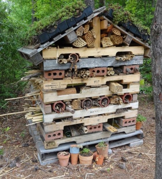 how-to-create-a-pollinator-hotel-features-hanfordsentinel