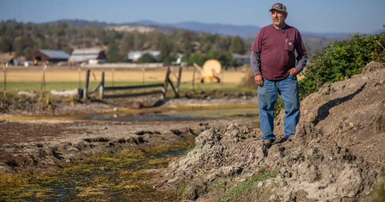 California ranchers intentionally violated an emergency water order. Now lawmakers want to triple the fines - Vimarsana News