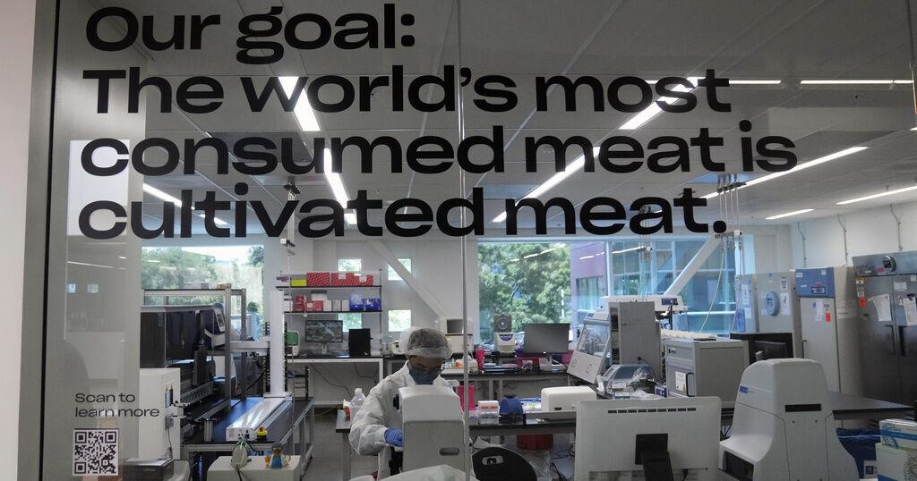 US approves chicken made from cultivated cells, the nation's first 'lab-grown' meat - Vimarsana News