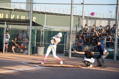 vikings softball