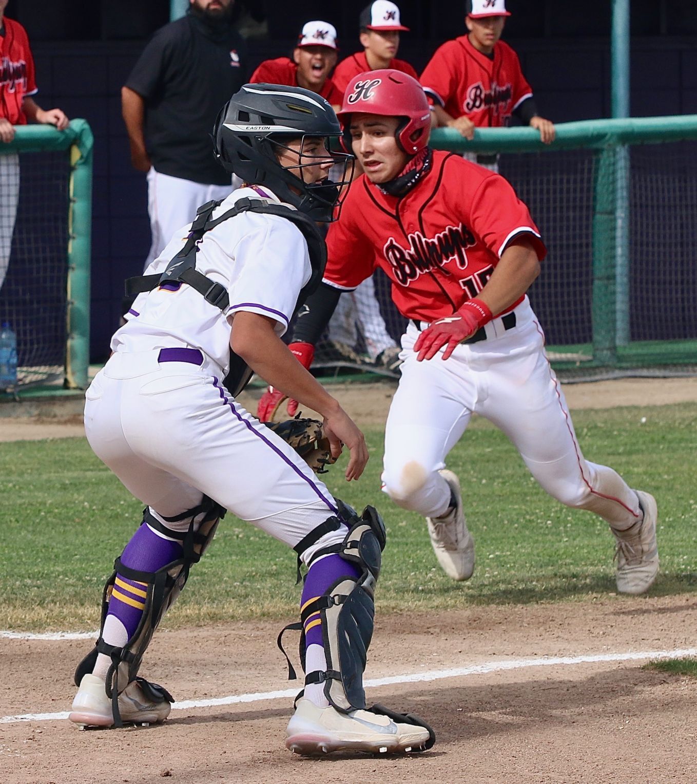 Hanford baseball continues hot start to season, Local Sports