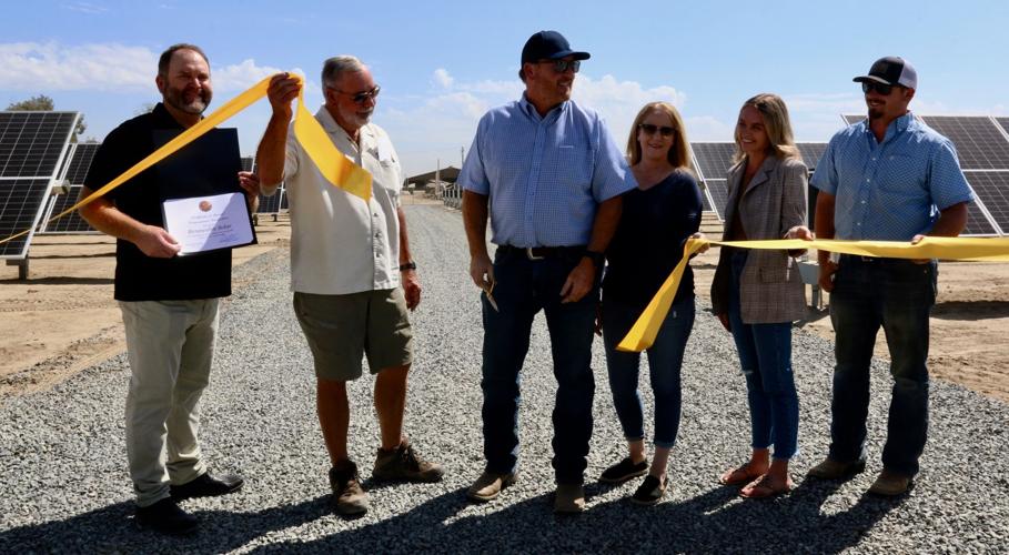 Danell Bros. solar array goes live Local News