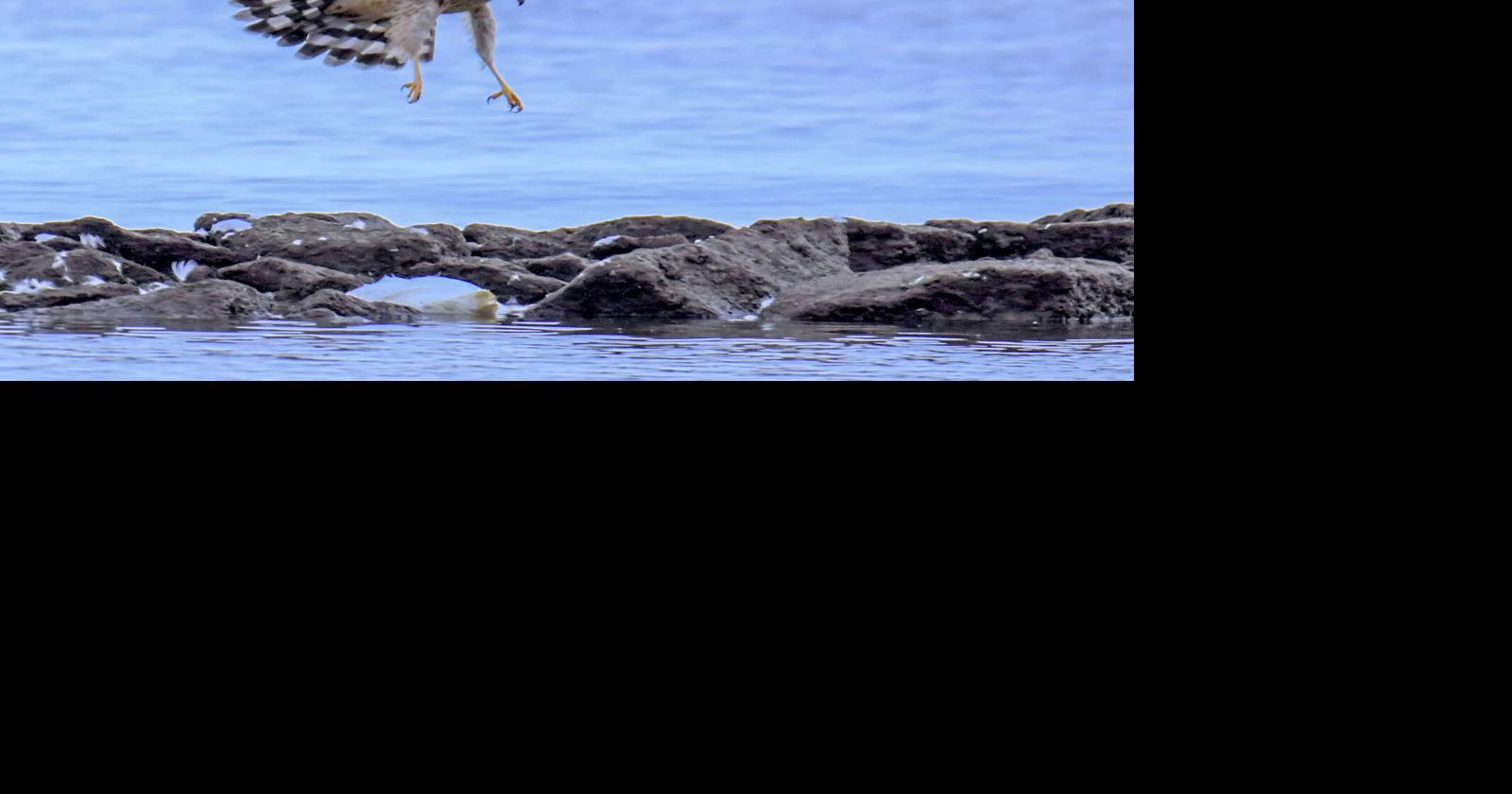 Maryland receives federal flood mitigation, Chesapeake Bay funding