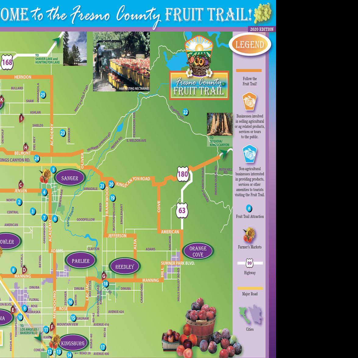 Featured image of post View 20 Map Of Blox Fruits Old World