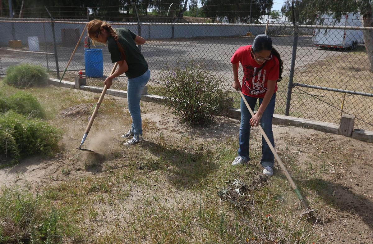 Kings Fair cleanup by volunteers