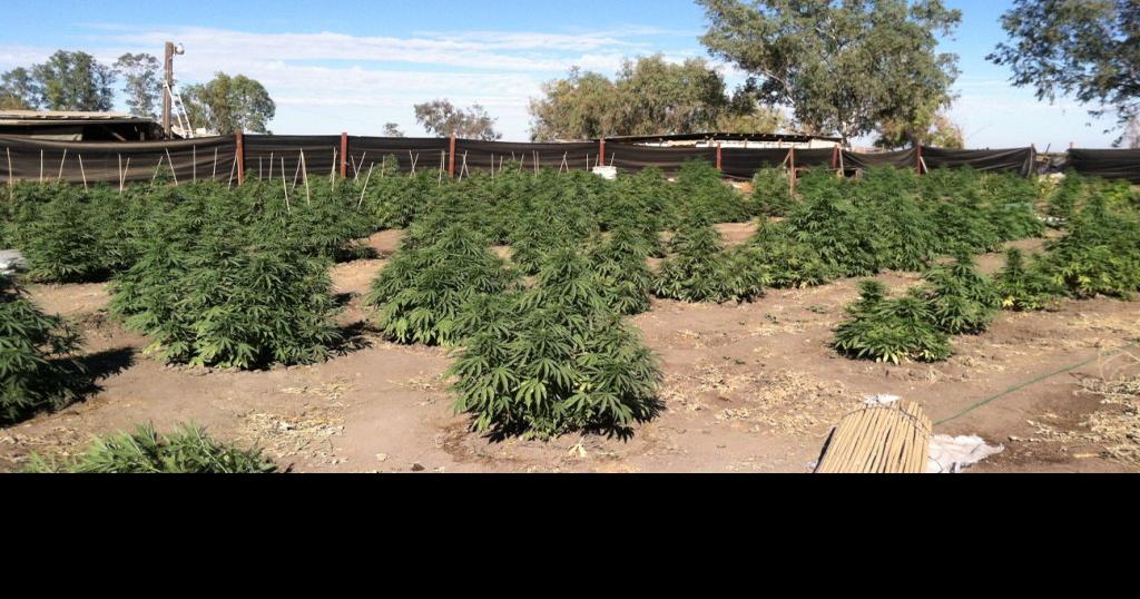 County tightens pot restrictions Local News