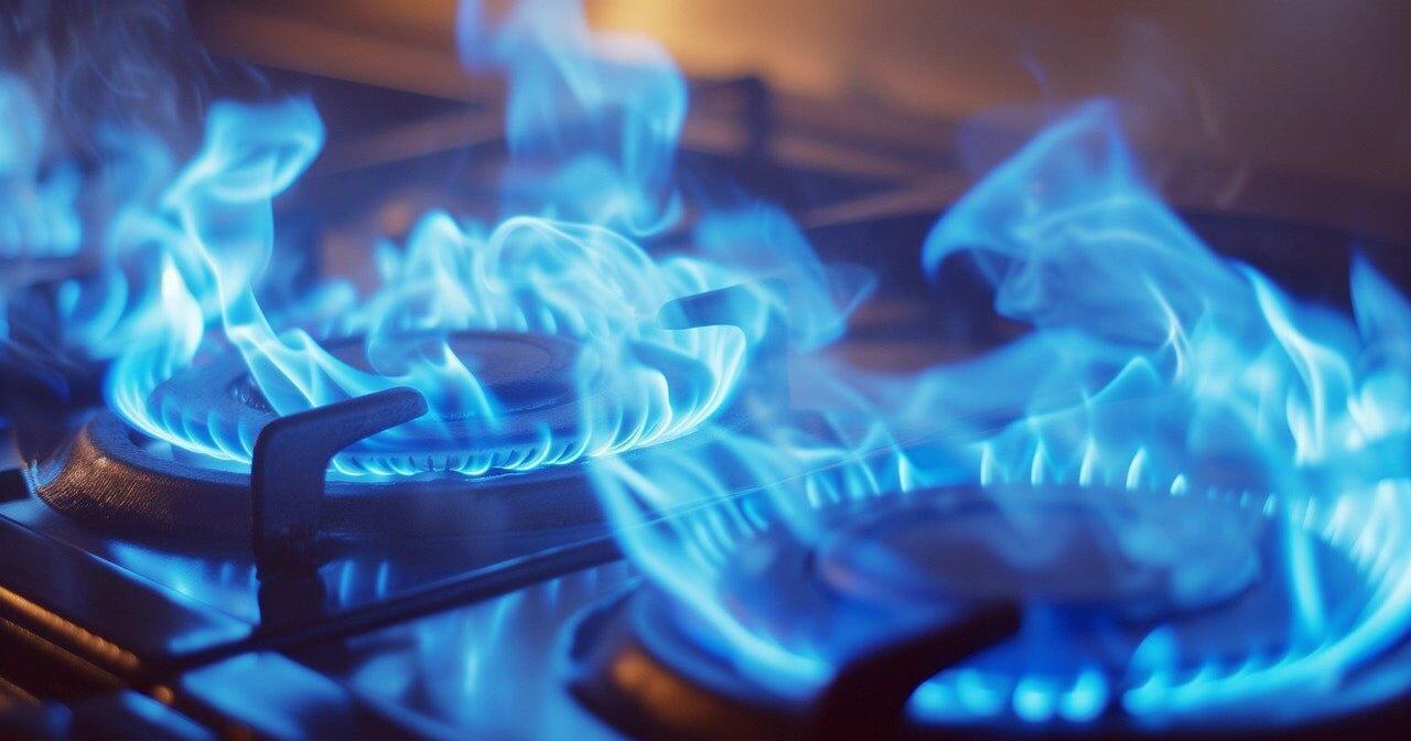 California moves closer to requiring new pollutant-warning labels for gas stoves - Vimarsana News