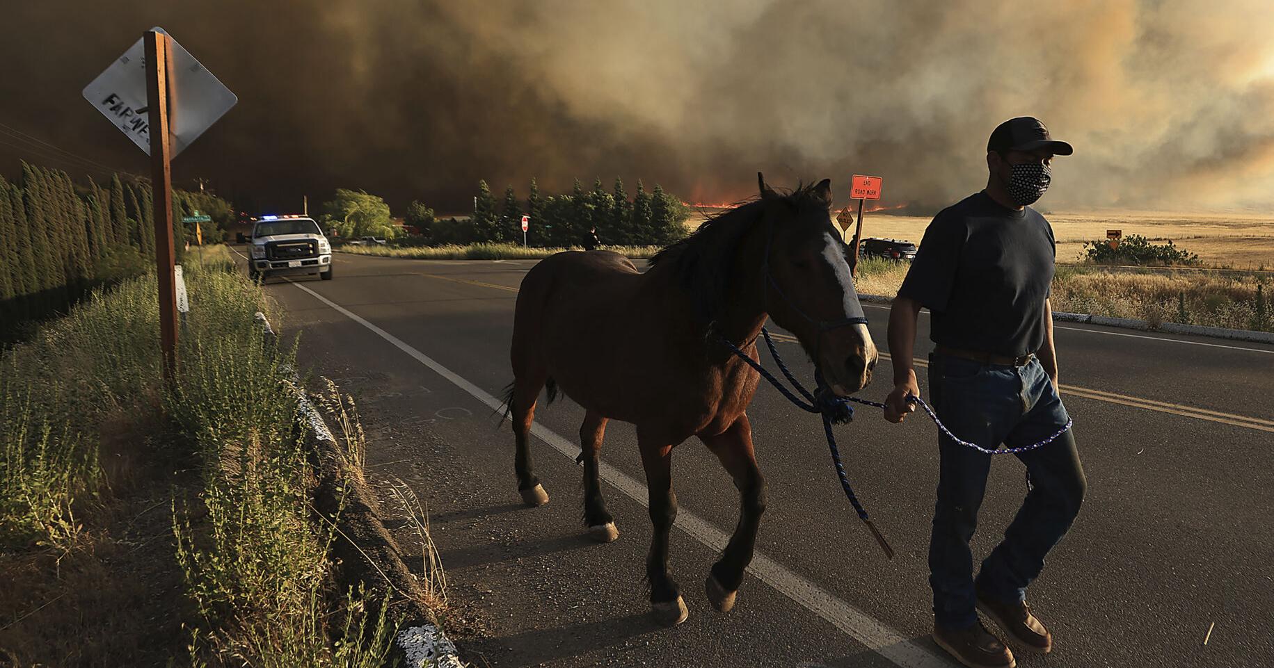 California firefighters make significant progress against wildfire east of San Francisco Bay - Vimarsana News