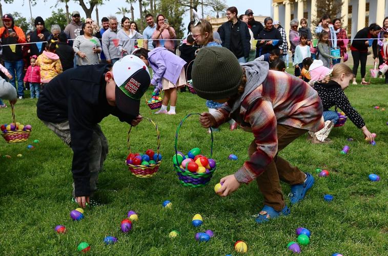 Hanford youngsters hunt for eggs ahead of Easter Entertainment