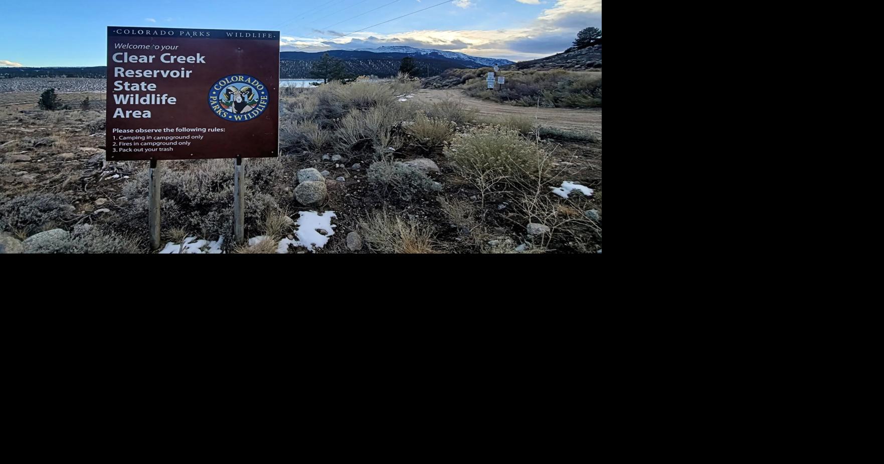 Trees near Colorado national forest doused in gas, set on fire in attempt to start wildfire, sheriff says