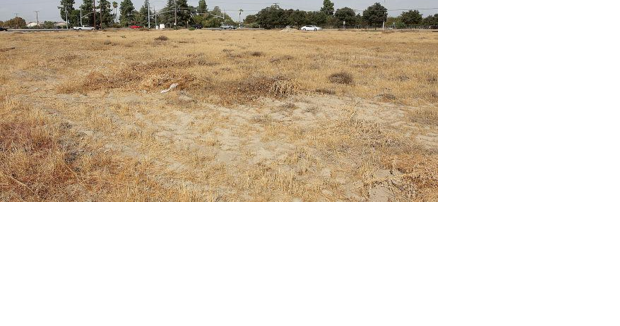 City Council approves annexation of Kings County island - Vimarsana News