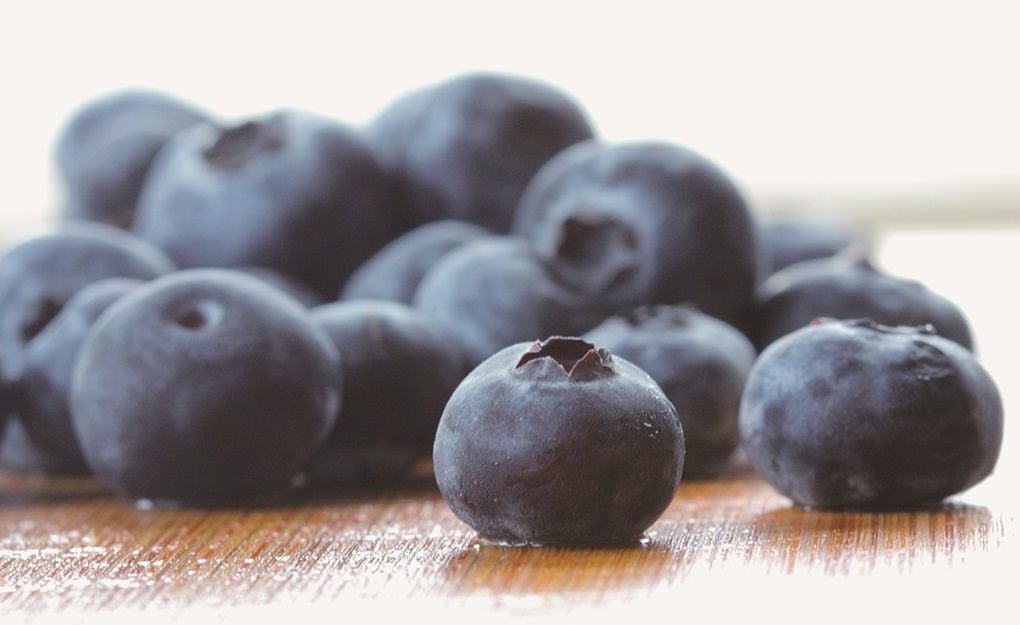 Some blueberry varieties grow best in Valley conditions Features