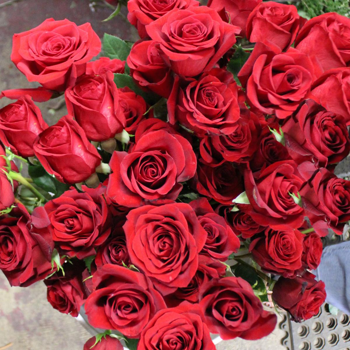 The Best Sad Movies To Watch When You Re Alone On Valentine S Day Local Hanfordsentinel Com When his wife is hospitalized, wealthy matt king (george clooney) and his family must adapt to sweeping changes. the best sad movies to watch when you