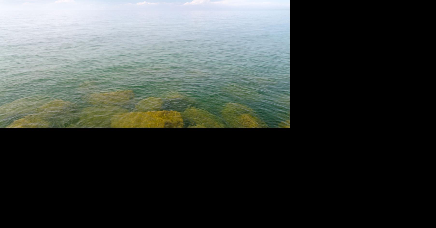 Scientists make prediction for summer's Lake Erie algae bloom