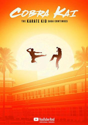 Cobra Kai - Netflix Series - Where To Watch