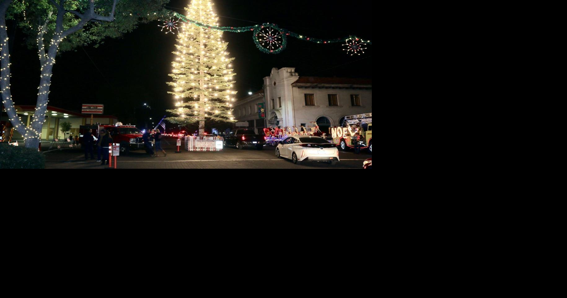Lookjng Back Lemoore disposes of Christmas tree for the year Lifestyles