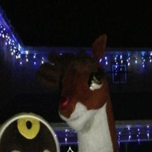 Fargo Rd Christmas Lights 2021