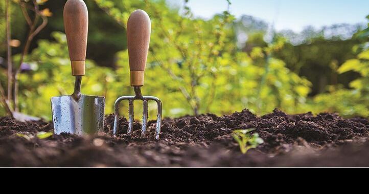 Read more about the article Friends and neighbors could use a garden gift | Garden checklist | Home and garden