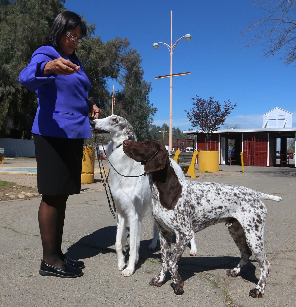 Dog show at Kings Fairgrounds | News | hanfordsentinel.com