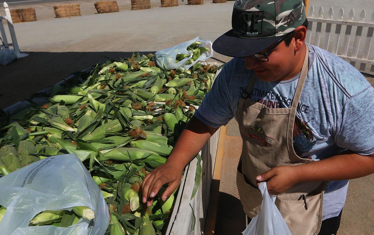 Fresh corn stand in Hanford Local