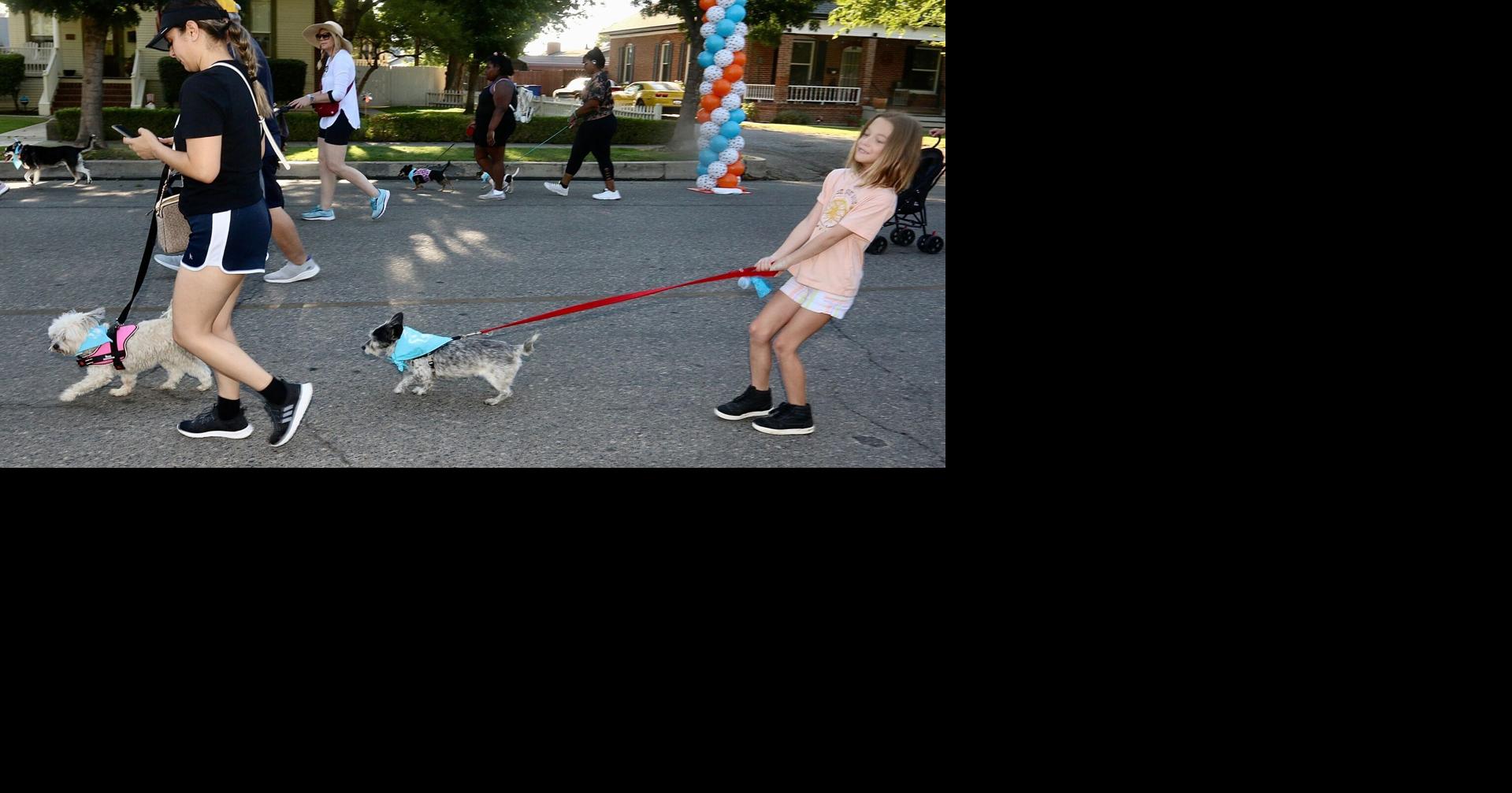 Pet owners celebrate the dog days of summer Lifestyles