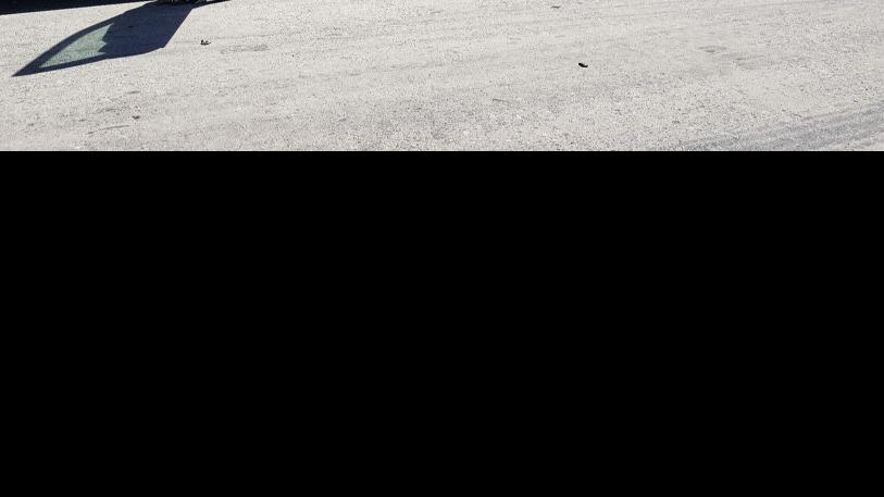 Suspect arrested after chase, reported assault on peace officer