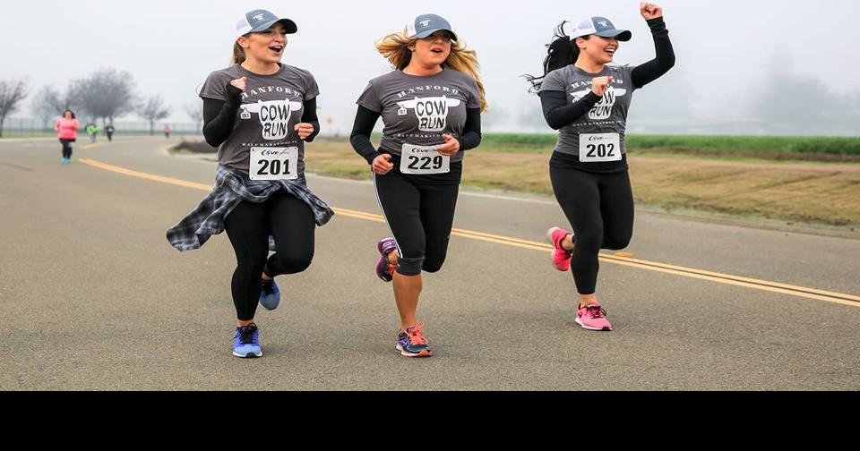 Hanford Cow Run on Sunday Local News