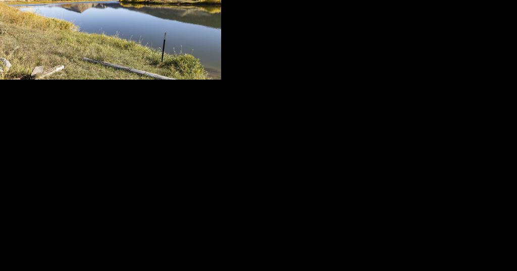 Rare otter attack injures three women floating on inner tubes on popular Montana river - Vimarsana News
