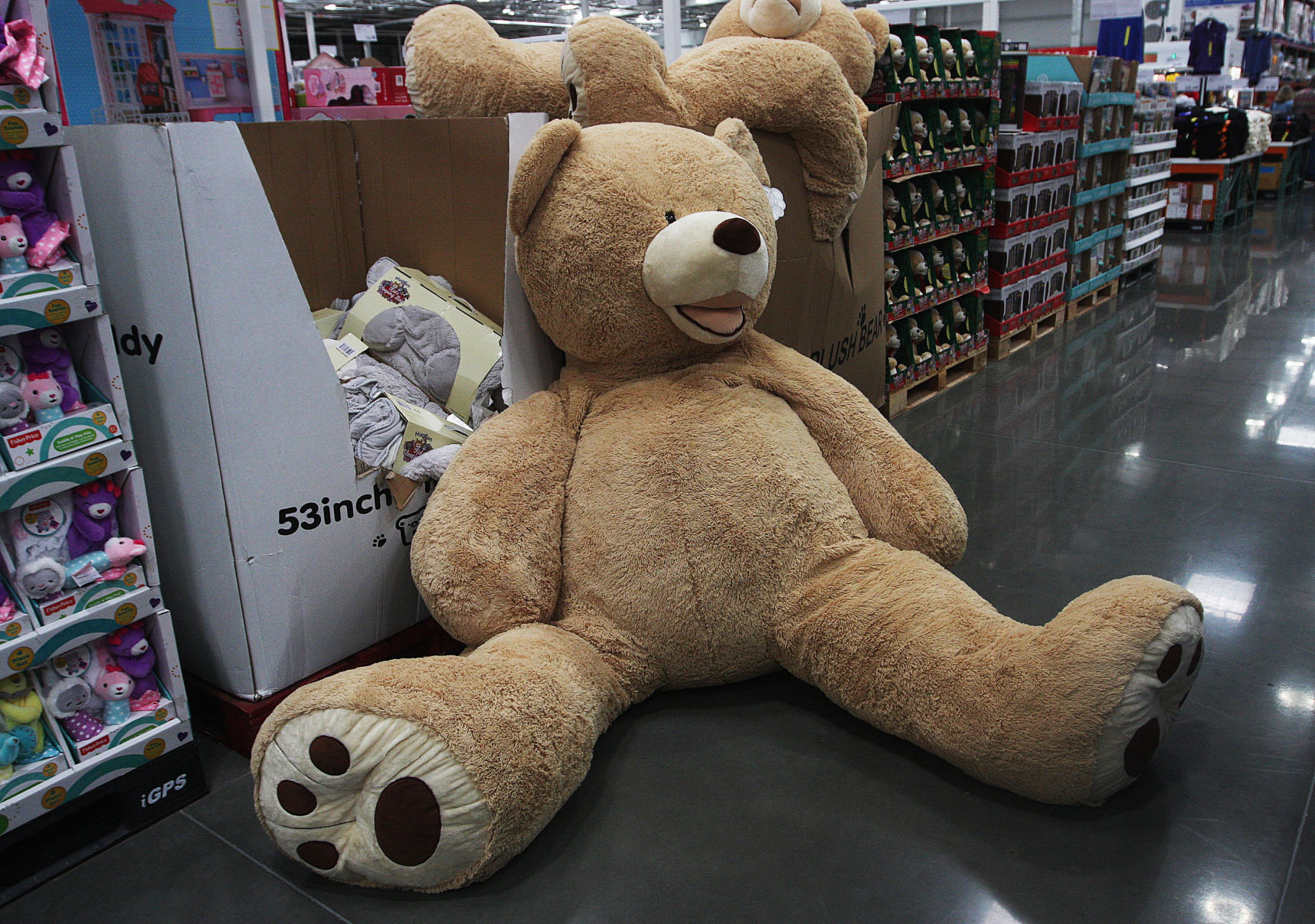 6 foot teddy bear costco