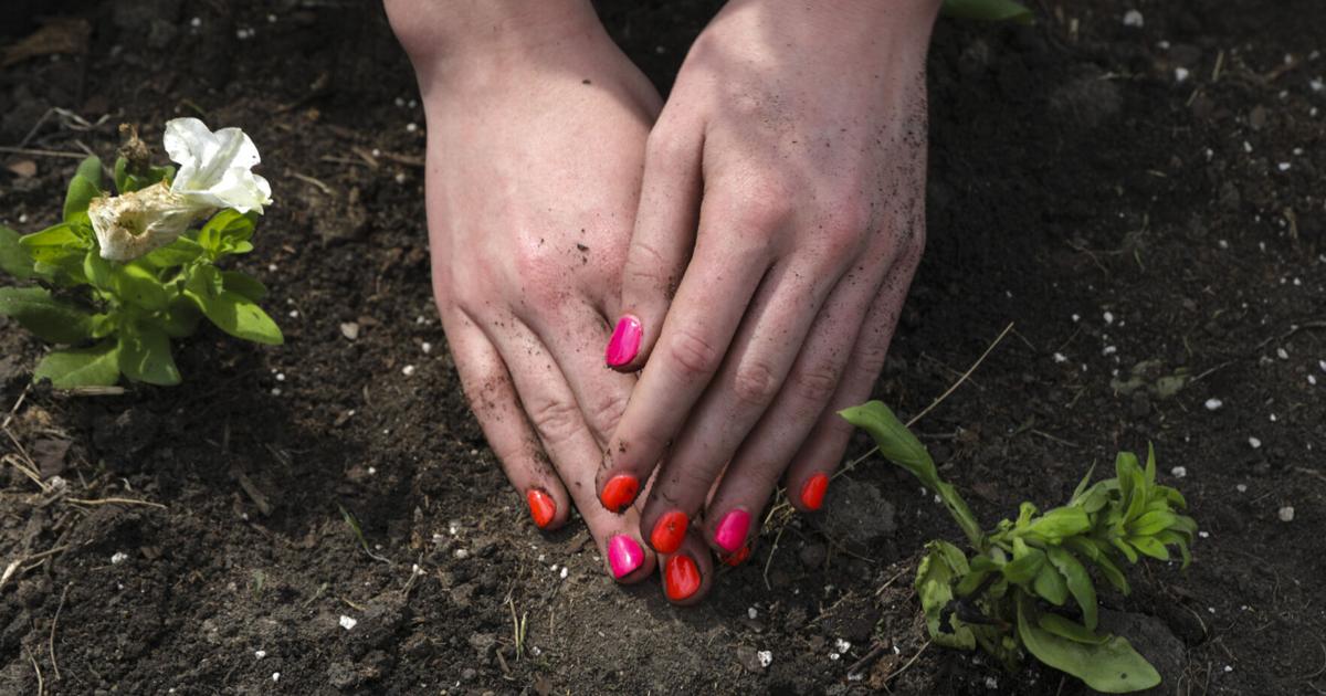 We have the official state soil | Master Gardener | Home and Garden We have the official state soil | Master Gardener | Home and Garden