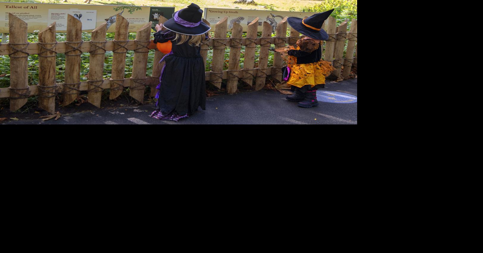 HalloweenZoos and Gardens