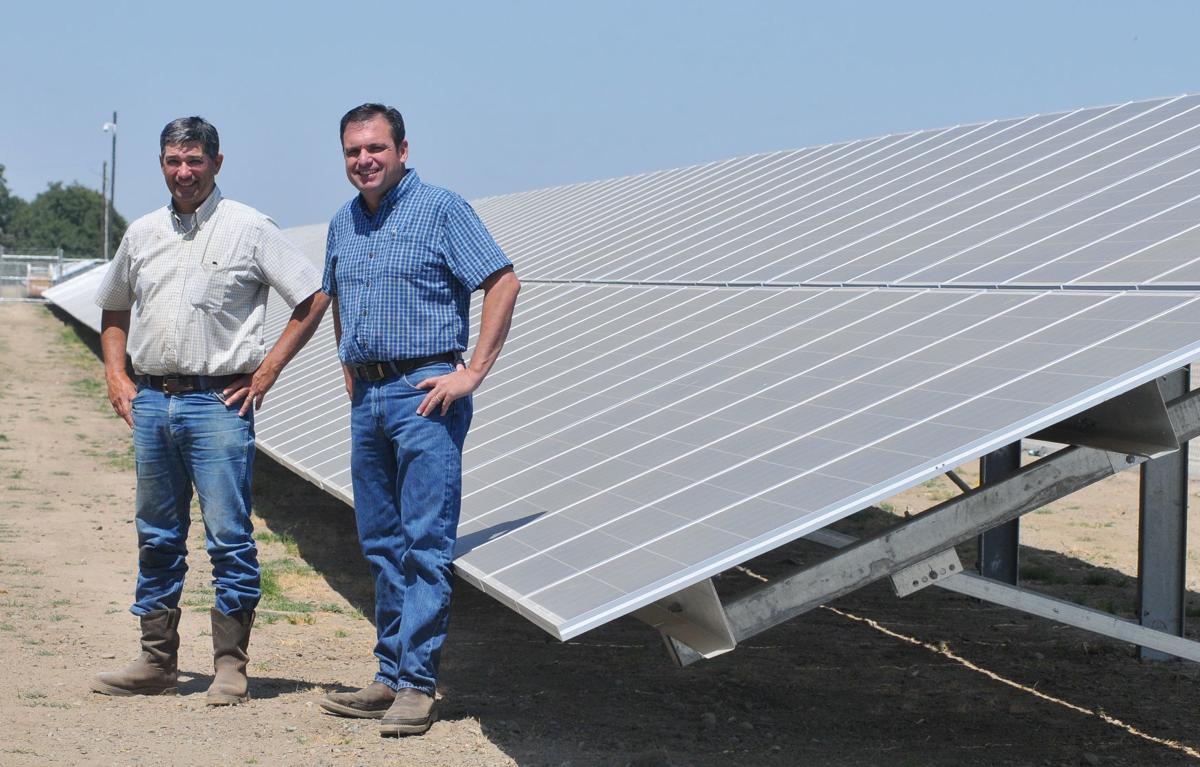 Big Dairy Solar Projects Multiply In Kings Local Hanfordsentinel Com
