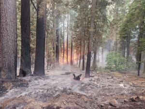 Man who caused Park fire, one of the largest in California history, convicted of arson